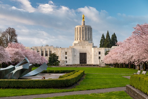 View of the Oregon State Capitol building in Salem framed by blooming cherry blossom branches on the Capitol Mall